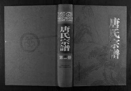 安徽唐氏族谱-唐氏宗谱.pdf电子版缩略图