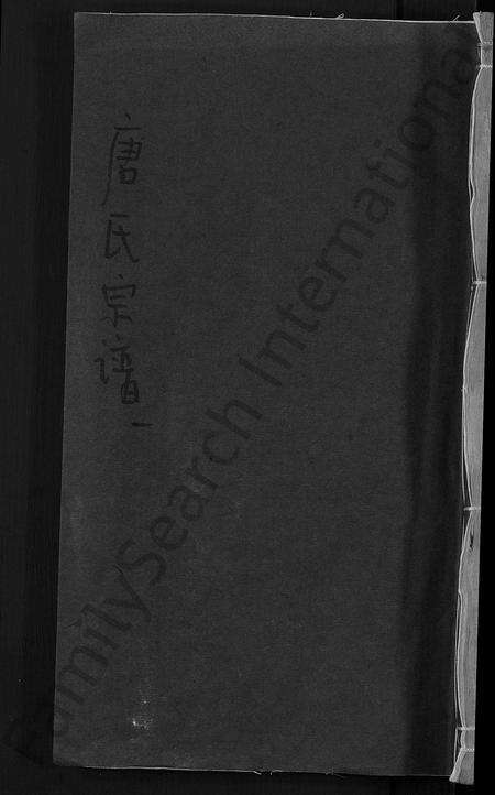 安徽唐氏族谱-唐氏宗谱 [13卷].pdf电子版缩略图