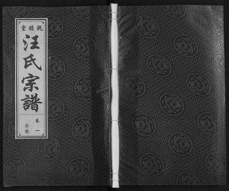 安徽汪氏族谱-汪氏宗谱.pdf电子版缩略图