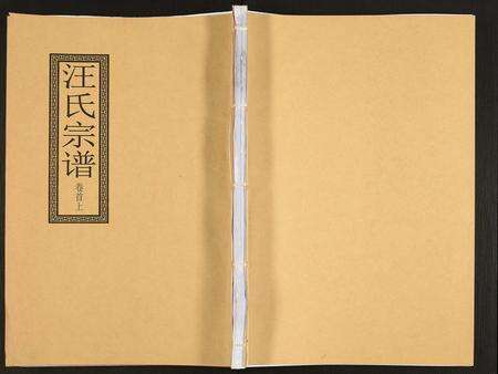 安徽汪氏族谱-汪氏宗谱.pdf电子版缩略图