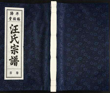 安徽汪氏族谱-汪氏宗谱.pdf电子版缩略图