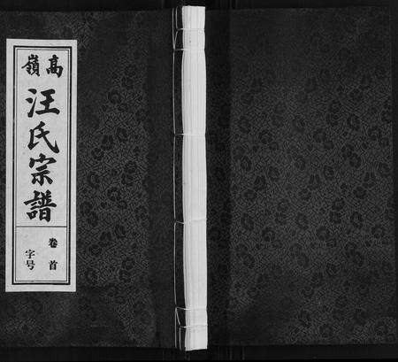 安徽汪氏族谱-高岭汪氏宗谱.pdf电子版缩略图