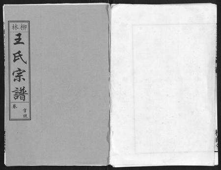 安徽王氏族谱-柳林王氏宗谱[14卷首末各1卷].pdf电子版缩略图