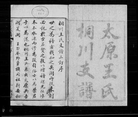 安徽王氏族谱-桐川王氏支谱 [4卷].pdf电子版缩略图