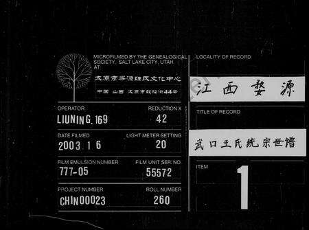 安徽王氏族谱-武口王氏统宗世谱 [卷数杂异].pdf电子版缩略图