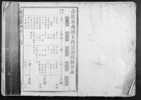 安徽王氏族谱-王氏五修宗谱.pdf电子版缩略图