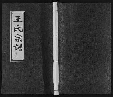 安徽王氏族谱-王氏宗谱.pdf电子版缩略图