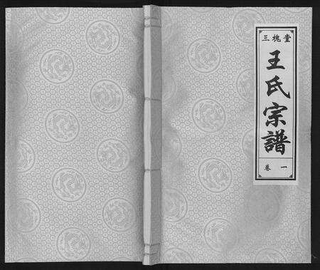 安徽王氏族谱-王氏宗谱.pdf电子版缩略图