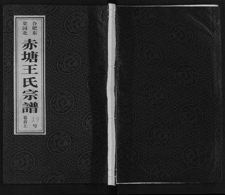 安徽王氏族谱-王氏宗谱.pdf电子版缩略图