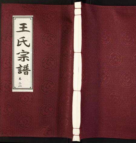 安徽王氏族谱-王氏宗谱.pdf电子版缩略图