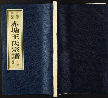 安徽王氏族谱-王氏宗谱.pdf电子版缩略图