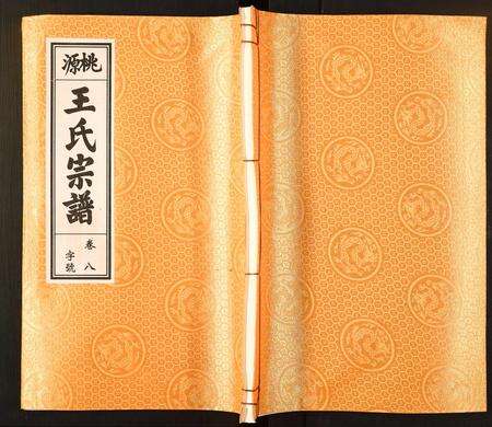 安徽王氏族谱-王氏宗谱.pdf电子版缩略图