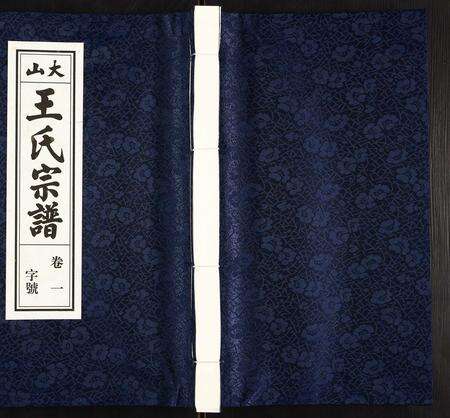 安徽王氏族谱-王氏宗谱.pdf电子版缩略图