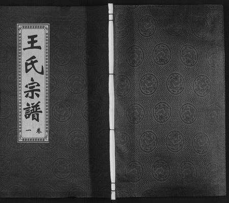 安徽王氏族谱-王氏宗谱[10卷].pdf电子版缩略图