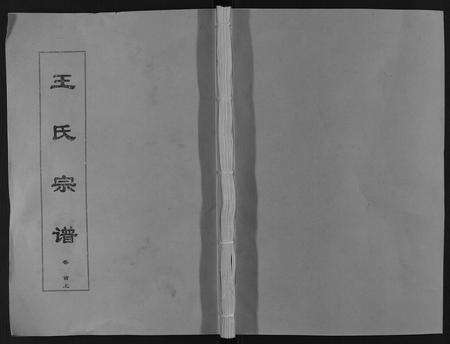 安徽王氏族谱-王氏宗谱[12卷首2卷].pdf电子版缩略图