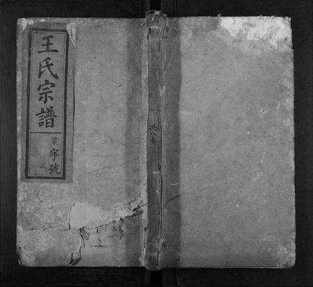 安徽王氏族谱-王氏宗谱[12卷首末各1卷].pdf电子版缩略图