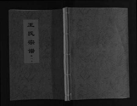 安徽王氏族谱-王氏宗谱[16卷].pdf电子版缩略图