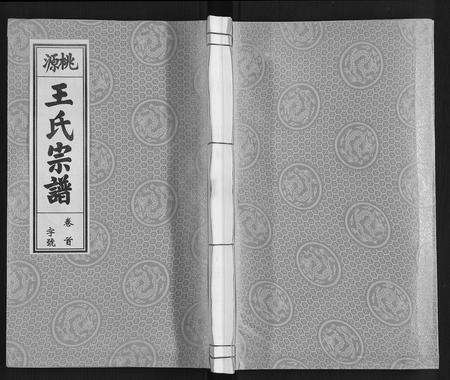 安徽王氏族谱-王氏宗谱[18卷首末各1卷].pdf电子版缩略图