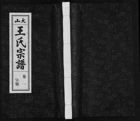 安徽王氏族谱-王氏宗谱[23卷末1卷].pdf电子版缩略图