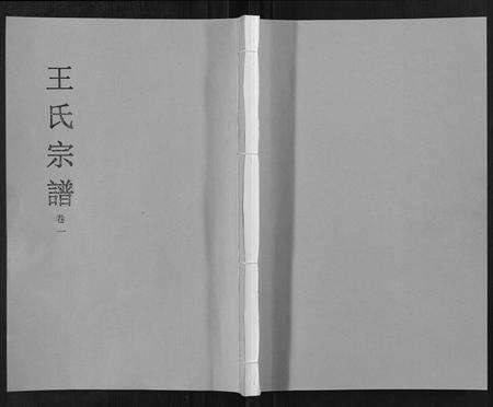 安徽王氏族谱-王氏宗谱[32卷].pdf电子版缩略图