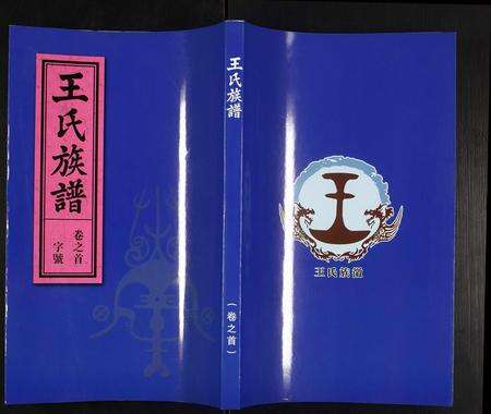 安徽王氏族谱-王氏族谱.pdf电子版缩略图
