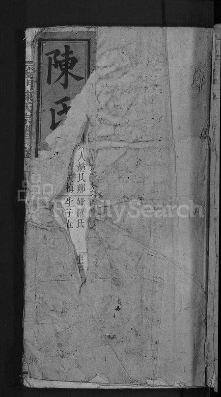 安徽陈氏族谱-义门陈氏宗谱 [总卷数不详].pdf电子版缩略图