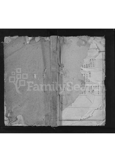 安徽程氏族谱-若岭程氏宗谱 [残卷].pdf电子版缩略图