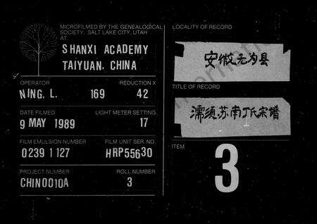 安徽丁氏族谱-濡须苏南丁氏宗谱 [16卷].pdf电子版缩略图