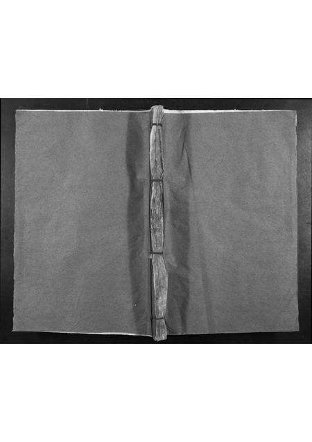 福建康氏族谱-蒲田康氏重修族谱[不分卷].pdf电子版缩略图