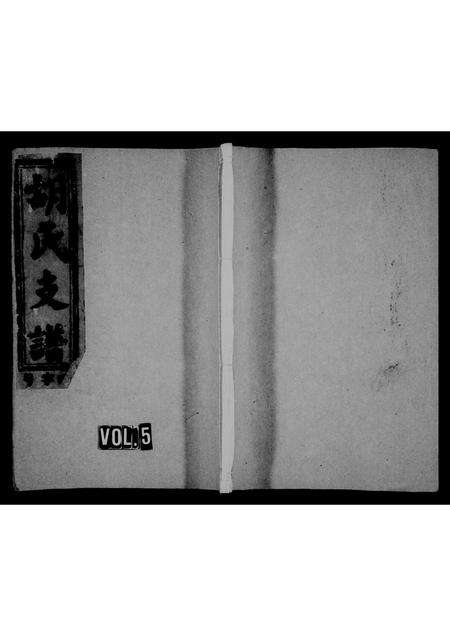 安徽胡氏族谱-胡氏支谱 [芳支3卷,命支14卷].pdf电子版缩略图