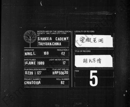 安徽胡氏族谱-芜湖胡氏宗谱 _ [30卷].pdf电子版缩略图