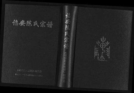福建陈氏族谱-诏安陈氏宗谱.pdf电子版缩略图