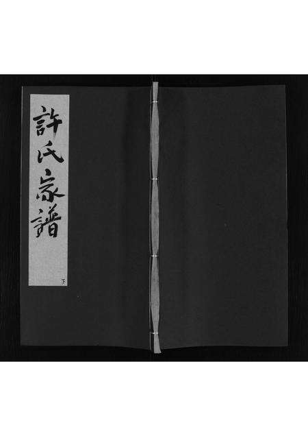 安徽许氏族谱-许氏家谱 [不分卷].pdf电子版缩略图