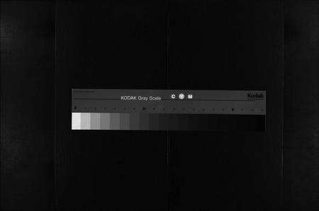 安徽黄氏族谱-江夏黄氏族谱 [卷数不详].pdf电子版缩略图