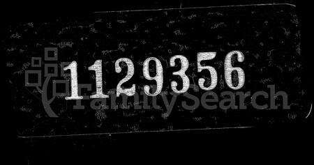 安徽黄氏族谱-谢河黄氏宗谱 [29卷,含卷首].pdf电子版缩略图