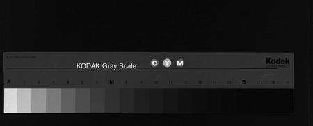 安徽黄氏族谱-黄氏宗谱 [12卷].pdf电子版缩略图