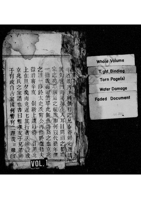 安徽金氏族谱-京兆金氏支谱.pdf电子版缩略图