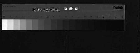 安徽陆氏族谱-陆氏宗谱[8卷,首1卷].pdf电子版缩略图