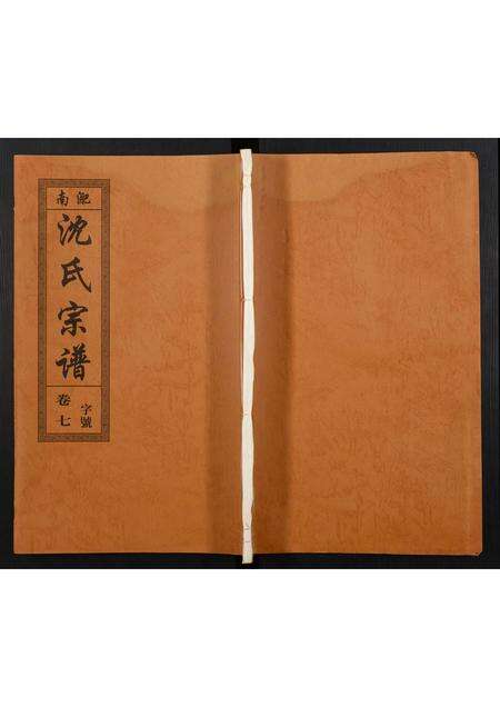 安徽沈氏族谱-沈氏宗谱.pdf电子版缩略图