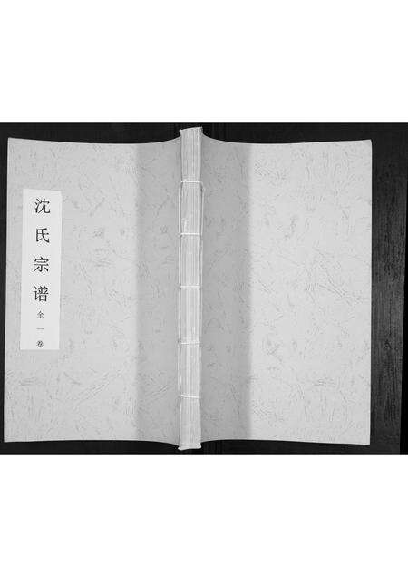 安徽沈氏族谱-沈氏宗谱[全1卷].pdf电子版缩略图