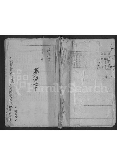 安徽石氏族谱-石氏族谱 [不分卷].pdf电子版缩略图