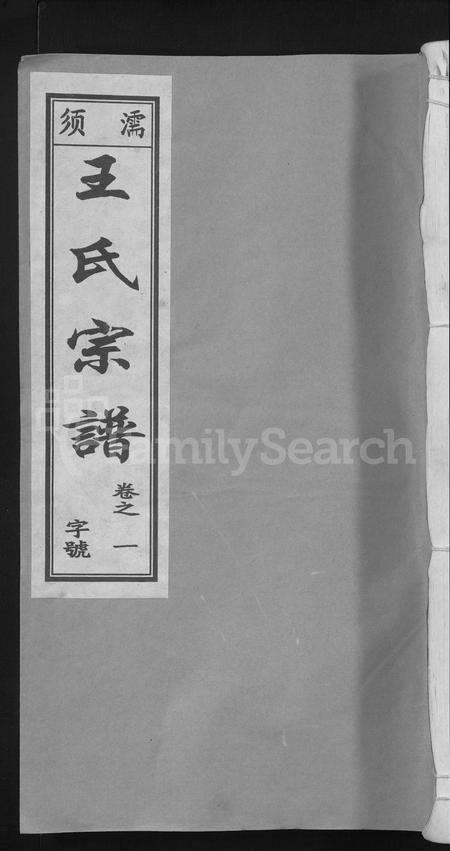 安徽王氏族谱-儒须王氏宗谱 [18卷].pdf电子版缩略图