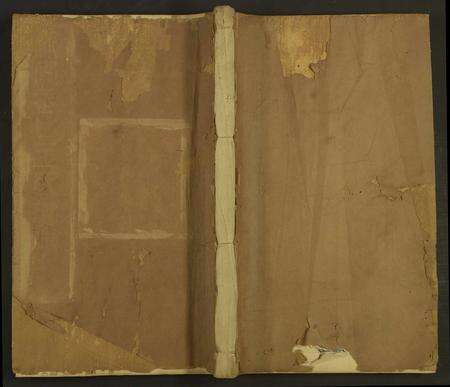 安徽王氏族谱-新安武口王氏统谱 [共264卷计40册].pdf电子版缩略图