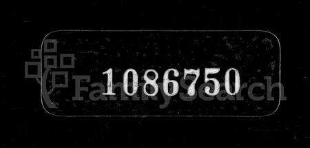 安徽王氏族谱-东楼王氏宗谱 [19卷,末1卷].pdf电子版缩略图