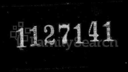 安徽王氏族谱-桐城王氏重修宗谱 [20卷].pdf电子版缩略图