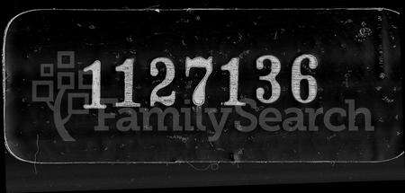 安徽王氏族谱-祁邑苦竹王氏宗谱 [25卷].pdf电子版缩略图