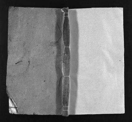 安徽王氏族谱-王氏宗谱 [28卷].pdf电子版缩略图