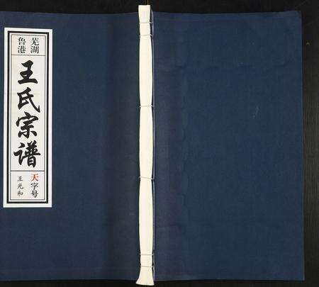 安徽王氏族谱-芜湖鲁港王氏宗谱.pdf电子版缩略图