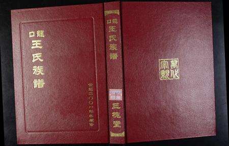 安徽王氏族谱-龙口王氏族谱 [2卷,首1卷].pdf电子版缩略图