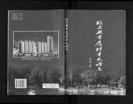 安徽韦氏族谱-临泉县韦应村韦氏谱志.pdf电子版缩略图